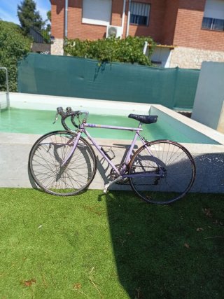 Bicicleta Clásica Morada Super Record