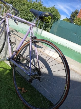 Bicicleta Clásica Morada Super Record