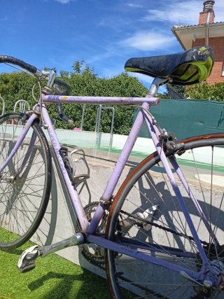 Bicicleta Clásica Morada Super Record