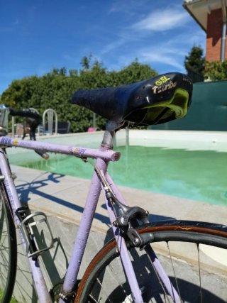 Bicicleta Clásica Morada Super Record