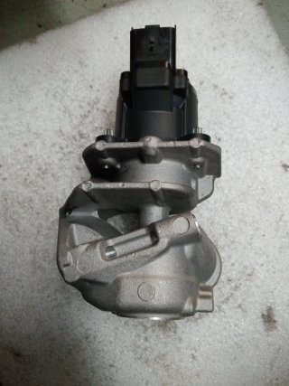 Válvula EGR Citroen/Peugeot