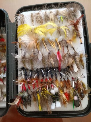 Lote de más de mil moscas para pesca variadas.