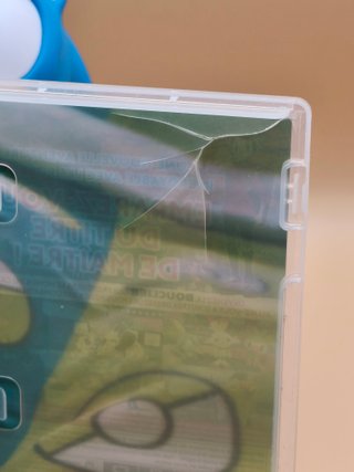 Pokémon Scudo Nintendo Switch