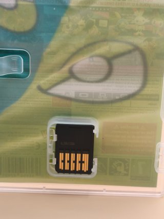 Pokémon Scudo Nintendo Switch