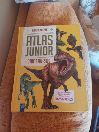 Lote libros infantiles como nuevos