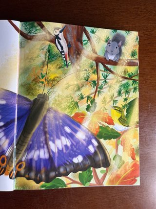 Animales del bosque - Catherine Veitch
