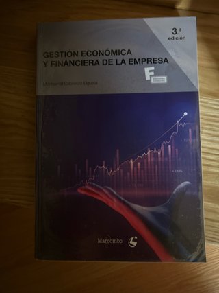 Gestión económica y financiera de la empresa