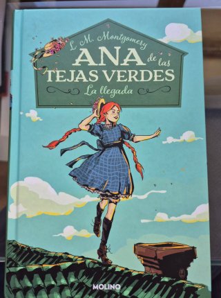 Ana de Las Tejas Verdes. La Llegada