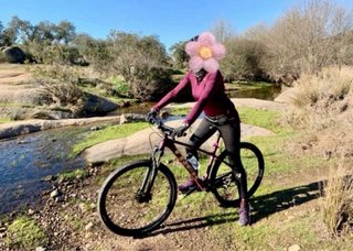Bicicleta Trek Cross Country Morada
