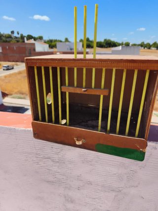 Cajón para perdiz de madera