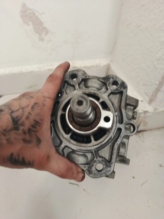 Bomba Inyección BMW E46