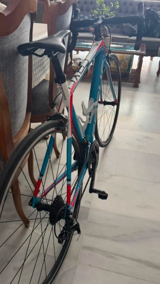 Bicicleta Carretera Focus Cayo Mix Azul