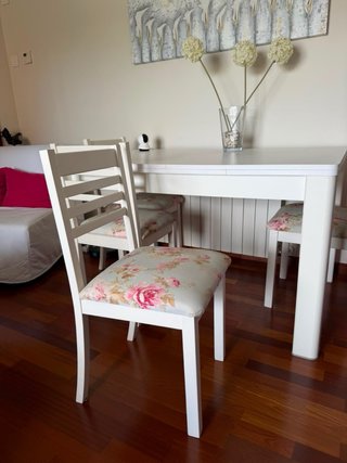 Mesa y 4 Sillas en Alicante