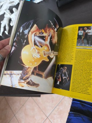 Guns N'Roses : A classical story of excess