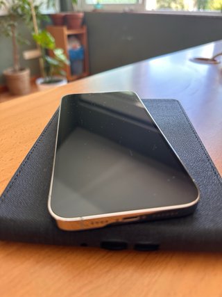iPhone 13 Pro Max 256GB Bianco