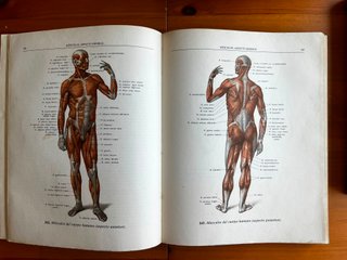 3 ATLAS DE ANATOMIA HUMANA DE LA URSS