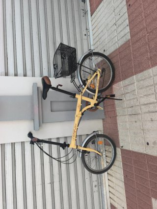 Bicicleta Vintage Edición Limitada