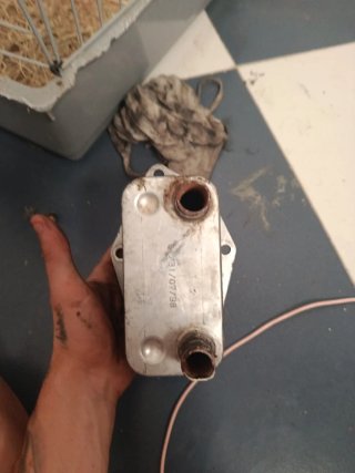 Enfriador Aceite BMW E46