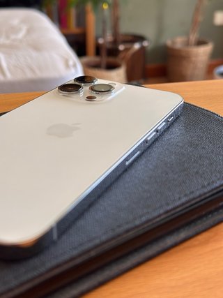 iPhone 13 Pro Max 256GB Bianco