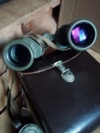 Binocolo Swarovski 7x42