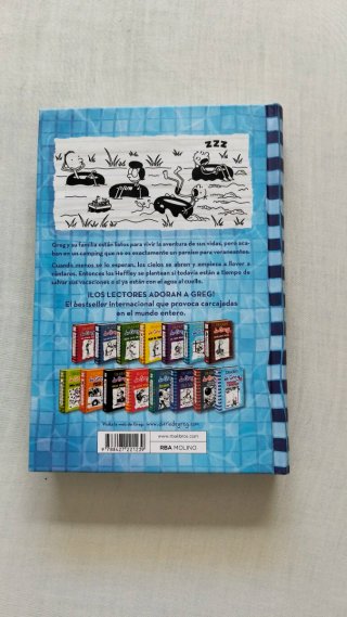 Diario de Greg 17 Tocado y Hundido