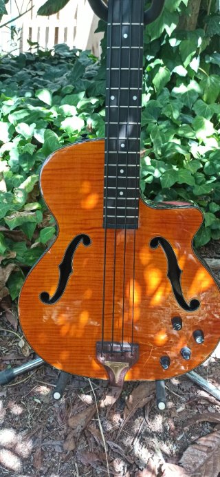 Bajo Epiphone Zenith