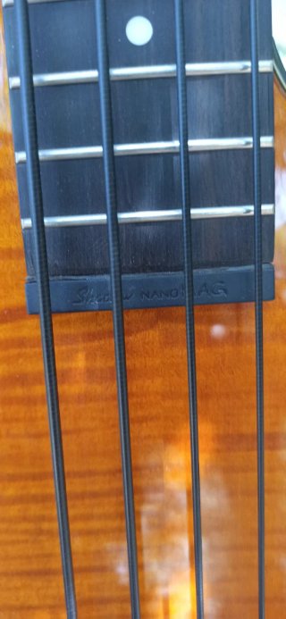 Bajo Epiphone Zenith