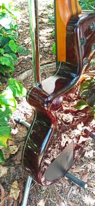 Bajo Epiphone Zenith