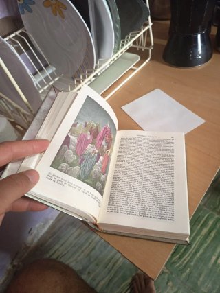 Vendo Biblia Arabe