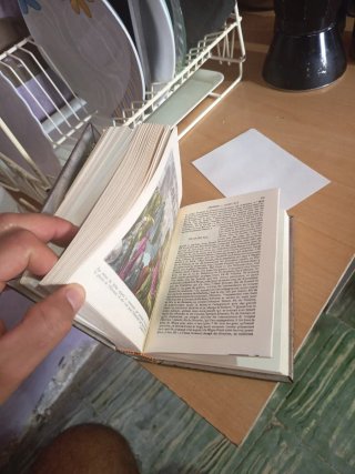 Vendo Biblia Arabe