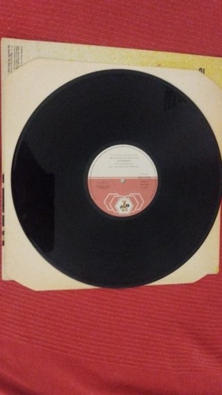 Vinilo Camouflage Computerliebe