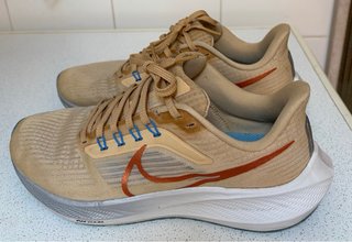 Nike Pegasus 39 Mujer - Talla 39
