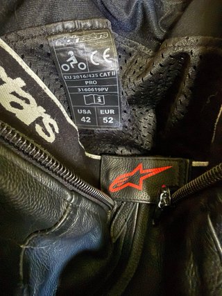 Mono Alpinestars GP Force