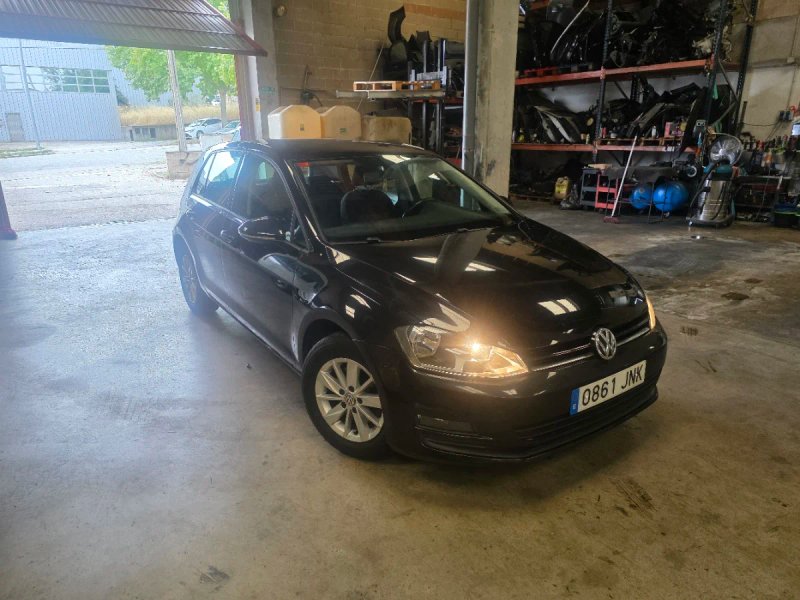 Volkswagen Golf VII 1.6 TDI CR BM Bluemotion Business 2016, foto 2