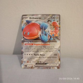 Orthworm EX Pokémon TCG Carta 220 PS