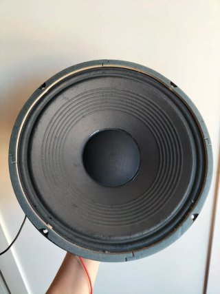 Cono Altoparlante Fender 12 pollici