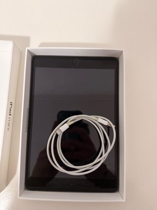 Apple iPad Mini Plata