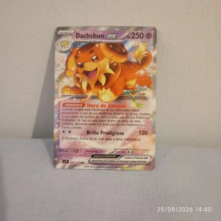 Dachsbun ex Carta Pokémon 046/102 RR