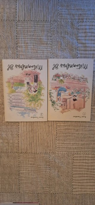 Lote de mangas + comics