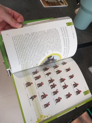 Lote de libros