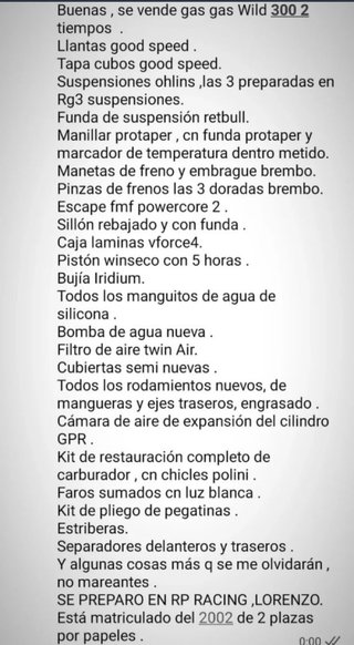 Gas Gas Wild 300 2 plazas