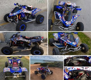 Gas Gas Wild 300 2 plazas