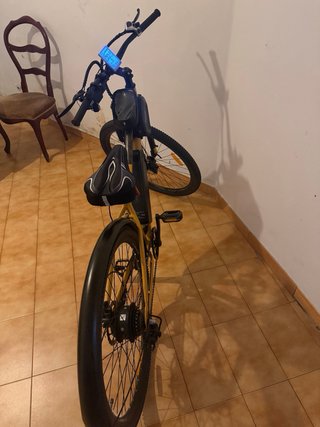 Bicicleta eléctrica E-Motorad T-Rex Air 29