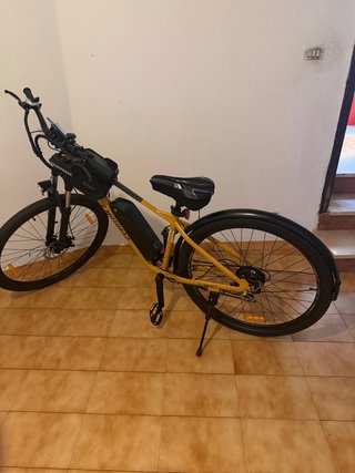Bicicleta eléctrica E-Motorad T-Rex Air 29