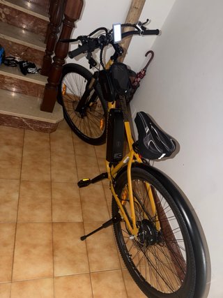 Bicicleta eléctrica E-Motorad T-Rex Air 29