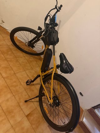 Bicicleta eléctrica E-Motorad T-Rex Air 29