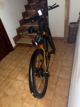 Bicicleta eléctrica E-Motorad T-Rex Air 29