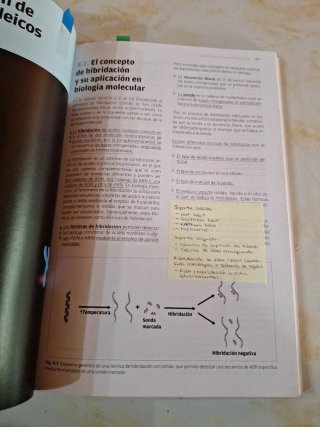 Biología molecular y citogenética CFGS Laborato...
