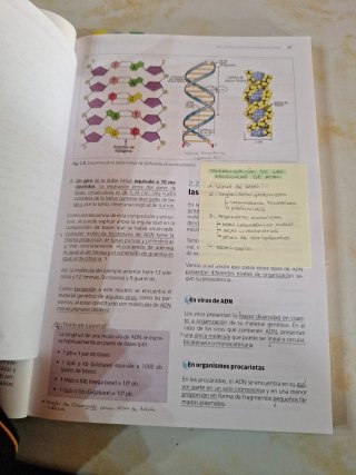Biología molecular y citogenética CFGS Laborato...