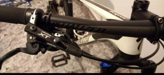 Bicicleta Specialized 29" M CARBONO